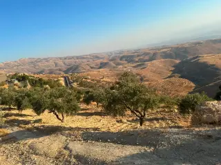 Land for sale in Al Subeihi
