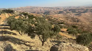 Land for sale in Al Subeihi – photo 4
