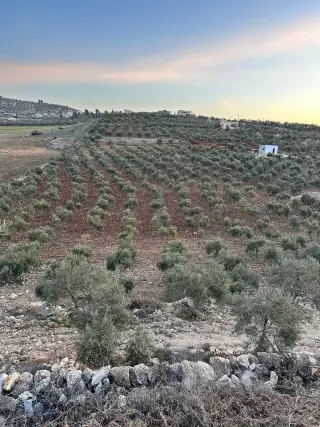 Land for sale in Other – photo 6