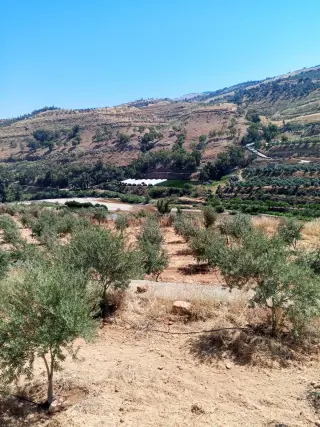 Land for sale in Other – photo 2