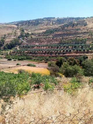 Land for sale in Other – photo 4