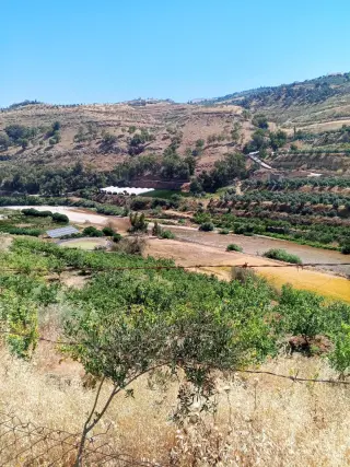 Land for sale in Other