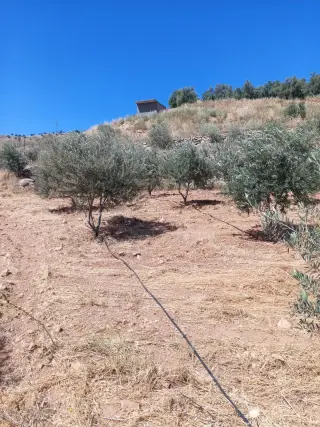 Land for sale in Other – photo 7