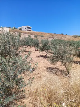 Land for sale in Other – photo 3