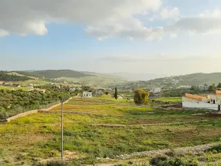 Land for sale in Other – photo 3