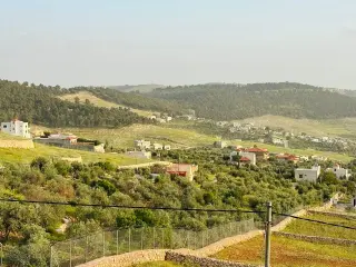 Land for sale in Other – photo 5