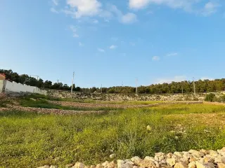 Land for sale in Other – photo 9