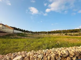 Land for sale in Other – photo 10
