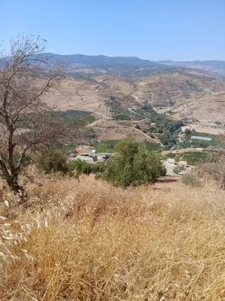 Land for sale in Al-Mastaba – photo 12