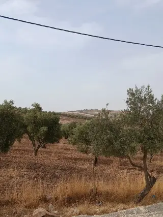 Land for sale in Al-Mastaba – photo 14