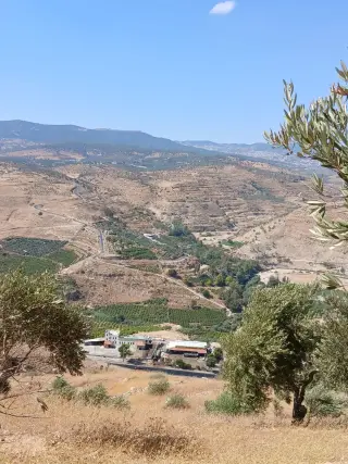 Land for sale in Al-Mastaba – photo 10