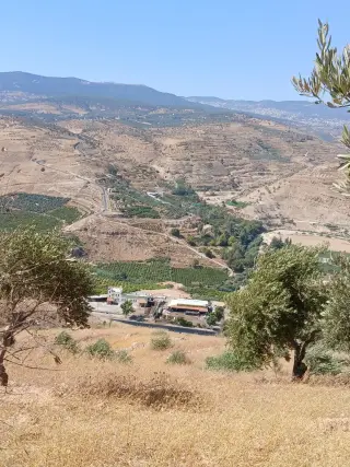 Land for sale in Al-Mastaba – photo 15