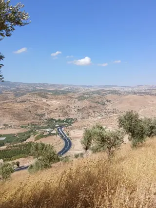 Land for sale in Al-Mastaba – photo 4