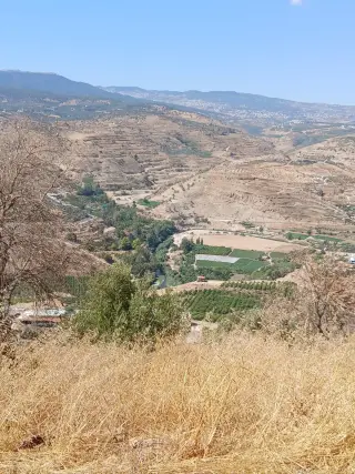 Land for sale in Al-Mastaba – photo 8