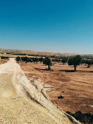 Land for sale in Bala'ama – photo 8