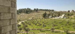 Land for sale in Ain wa Al-Ma'mariyyeh – photo 5