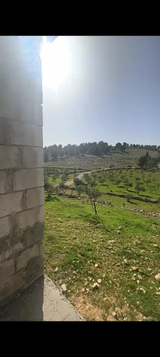 Land for sale in Ain wa Al-Ma'mariyyeh – photo 17