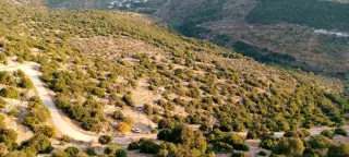 Land for sale in Other