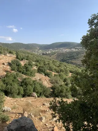Land for sale in Other – photo 5