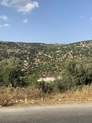Land for sale in Other – photo 6