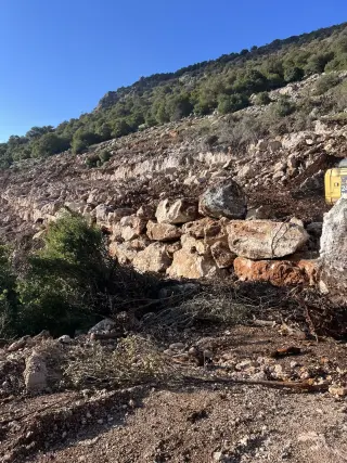 Land for sale in Other – photo 9