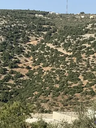 Land for sale in Other – photo 4