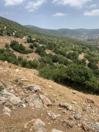 Land for sale in Other – photo 2
