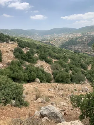 Land for sale in Other – photo 3