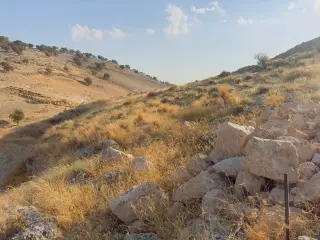 أرض للبيع في أخرى – صورة 4
