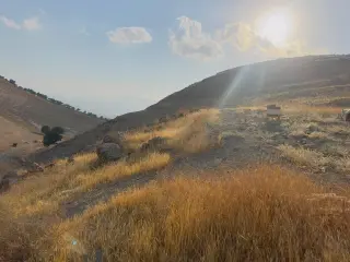 أرض للبيع في أخرى – صورة 5