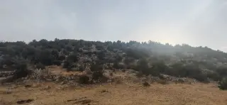 Land for sale in Other – photo 11
