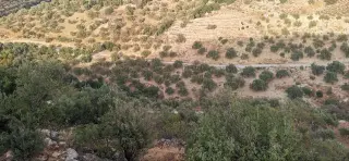 Land for sale in Other