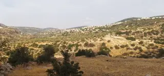 Land for sale in Other – photo 2
