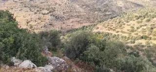 Land for sale in Other – photo 6