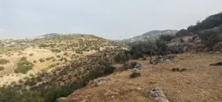 Land for sale in Other – photo 4