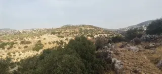 Land for sale in Other – photo 10