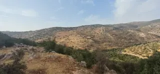 Land for sale in Other – photo 8