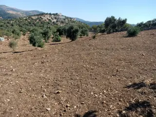 Land for sale in Other