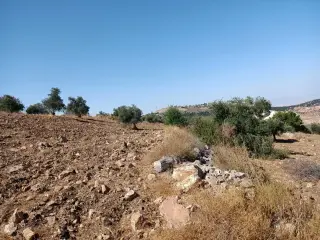 Land for sale in Other – photo 4