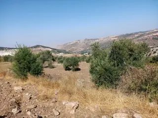 Land for sale in Other – photo 5