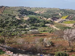 Land for sale in Sakhra – photo 3