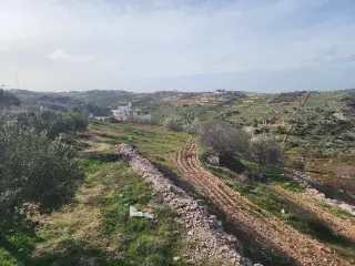 Land for sale in Sakhra – photo 5