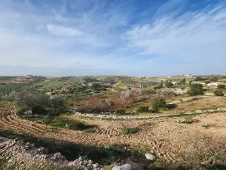 Land for sale in Sakhra – photo 2