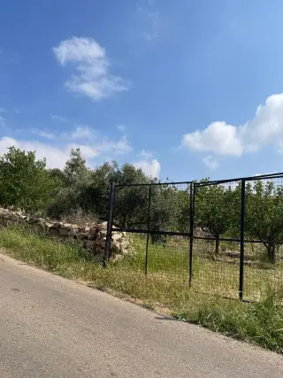 Land for sale in Sakhra – photo 11