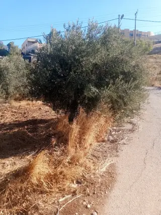 Land for sale in Sakhra – photo 11