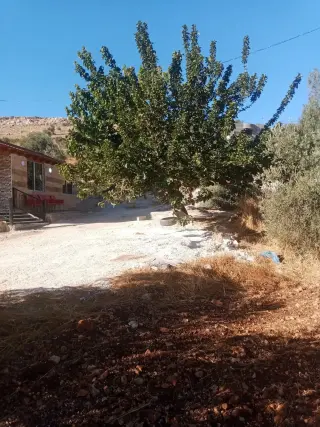 Land for sale in Sakhra – photo 7