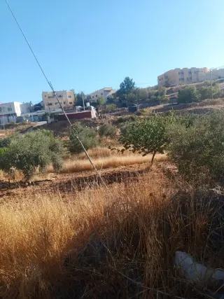 Land for sale in Sakhra – photo 4