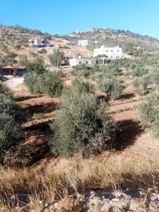 Land for sale in Sakhra – photo 9