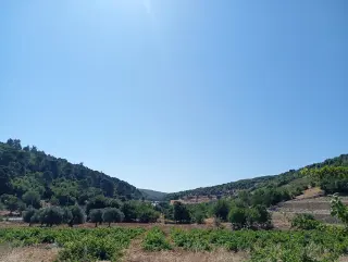 Land for sale in E'in Jana – photo 4