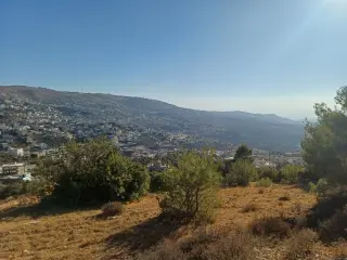 Land for sale in A'anjara – photo 7